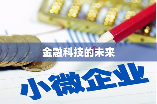 仙游金融科技的未来
