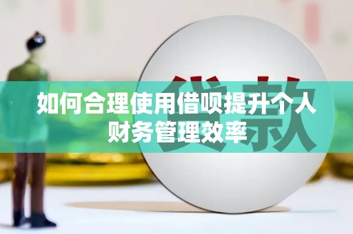 仙游如何合理使用借呗提升个人财务管理效率