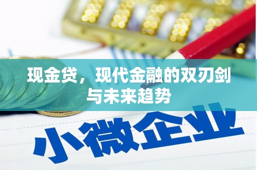 仙游现金贷，现代金融的双刃剑与未来趋势