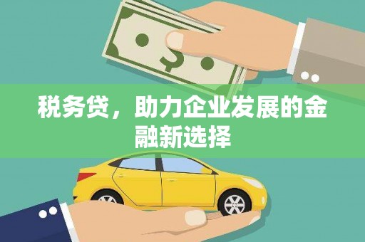 仙游税务贷，助力企业发展的金融新选择