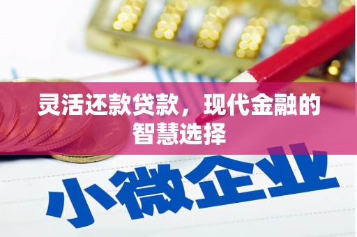 仙游灵活还款贷款，现代金融的智慧选择