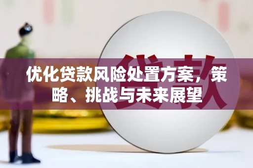 仙游优化贷款风险处置方案，策略、挑战与未来展望