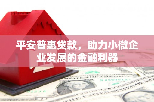 仙游平安普惠贷款，助力小微企业发展的金融利器