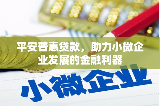 仙游平安普惠贷款，助力小微企业发展的金融利器