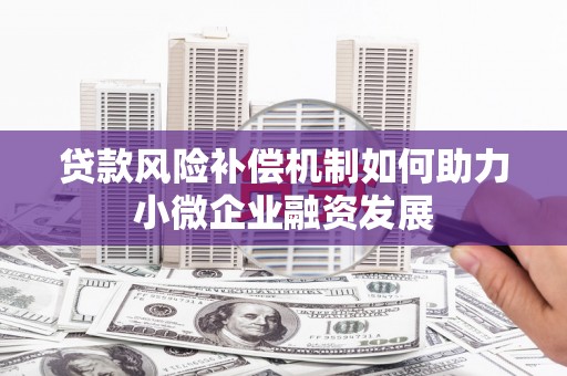 仙游贷款风险补偿机制如何助力小微企业融资发展