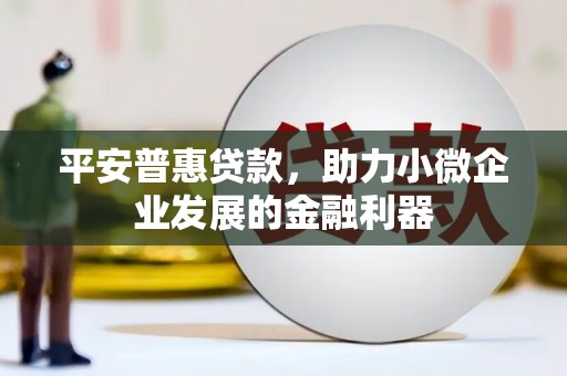 仙游平安普惠贷款，助力小微企业发展的金融利器
