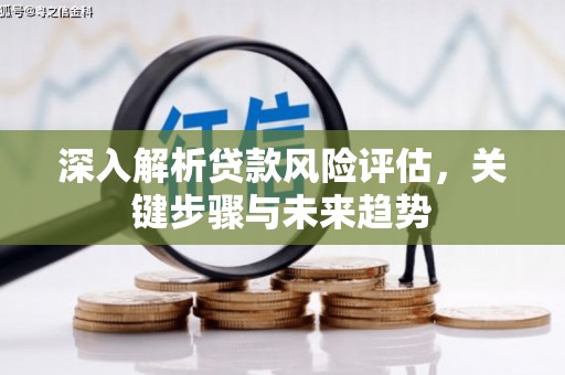 仙游深入解析贷款风险评估，关键步骤与未来趋势