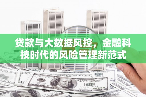 仙游贷款与大数据风控，金融科技时代的风险管理新范式