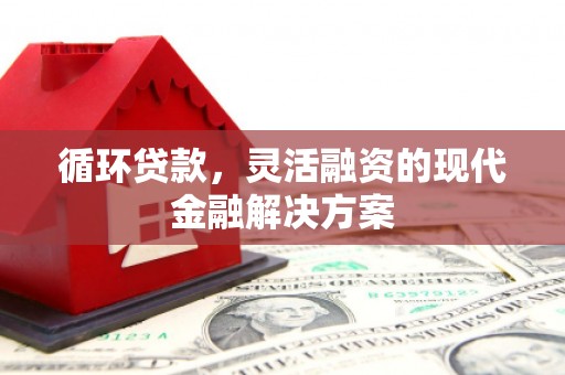 仙游循环贷款，灵活融资的现代金融解决方案