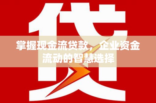 仙游掌握现金流贷款，企业资金流动的智慧选择