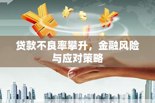 仙游贷款不良率攀升，金融风险与应对策略