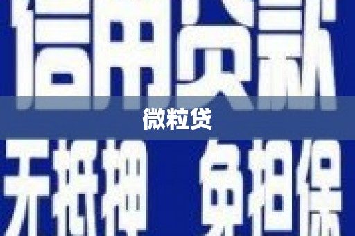 仙游微粒贷