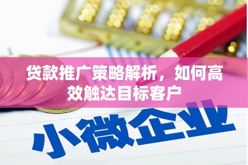 仙游贷款推广策略解析，如何高效触达目标客户