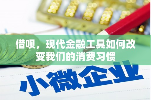 仙游借呗，现代金融工具如何改变我们的消费习惯