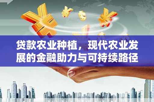 仙游贷款农业种植，现代农业发展的金融助力与可持续路径