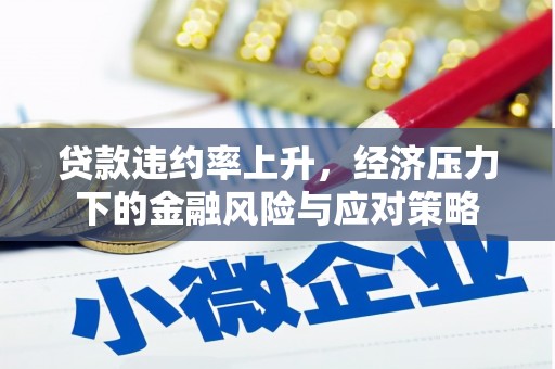 仙游贷款违约率上升，经济压力下的金融风险与应对策略
