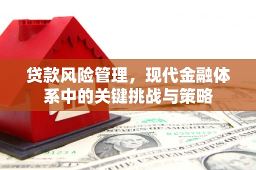 仙游贷款风险管理，现代金融体系中的关键挑战与策略
