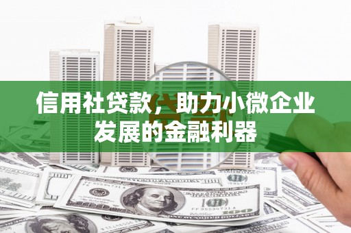 仙游信用社贷款，助力小微企业发展的金融利器