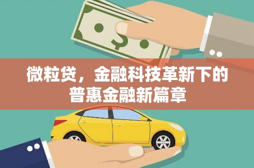 仙游微粒贷，金融科技革新下的普惠金融新篇章