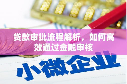 仙游贷款审批流程解析，如何高效通过金融审核
