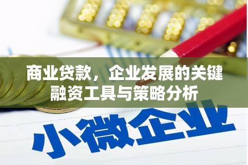 仙游商业贷款，企业发展的关键融资工具与策略分析