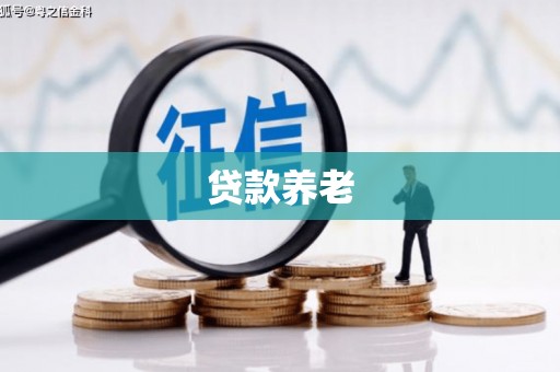 仙游贷款养老