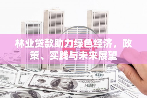 仙游林业贷款助力绿色经济，政策、实践与未来展望