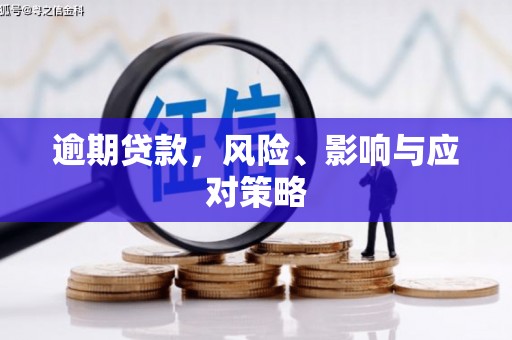 仙游逾期贷款，风险、影响与应对策略
