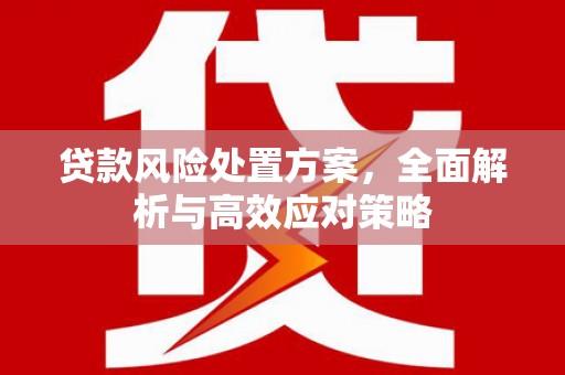 仙游贷款风险处置方案，全面解析与高效应对策略