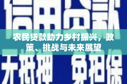 仙游农民贷款助力乡村振兴，政策、挑战与未来展望