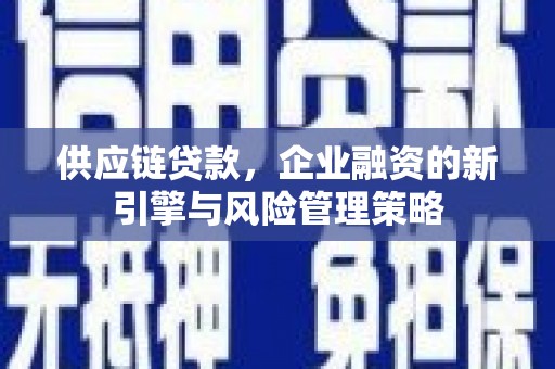 仙游供应链贷款，企业融资的新引擎与风险管理策略