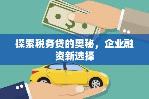仙游探索税务贷的奥秘，企业融资新选择