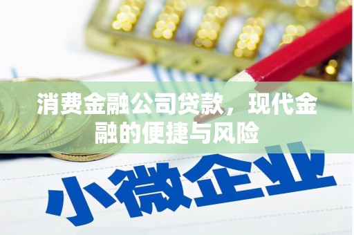 仙游消费金融公司贷款，现代金融的便捷与风险