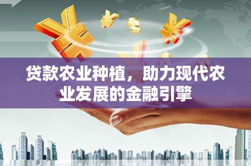 仙游贷款农业种植，助力现代农业发展的金融引擎