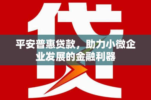 仙游平安普惠贷款，助力小微企业发展的金融利器
