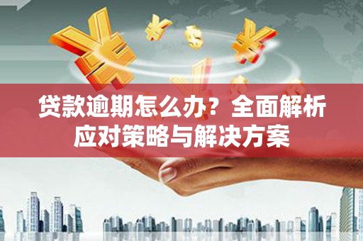 仙游贷款逾期怎么办？全面解析应对策略与解决方案