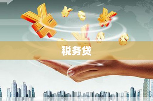 仙游税务贷