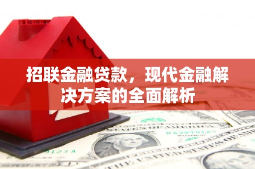 仙游招联金融贷款，现代金融解决方案的全面解析