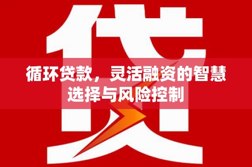 仙游循环贷款，灵活融资的智慧选择与风险控制