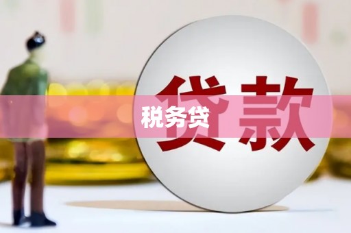 仙游税务贷
