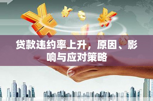 仙游贷款违约率上升，原因、影响与应对策略
