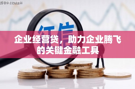 仙游企业经营贷，助力企业腾飞的关键金融工具