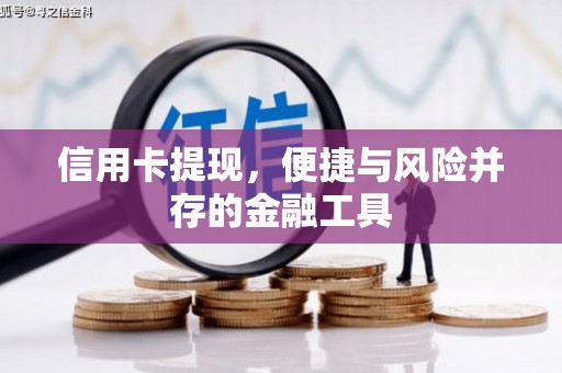 仙游信用卡提现，便捷与风险并存的金融工具