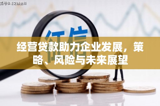 仙游经营贷款助力企业发展，策略、风险与未来展望