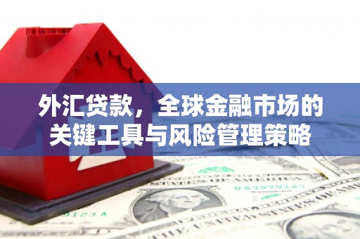 仙游外汇贷款，全球金融市场的关键工具与风险管理策略