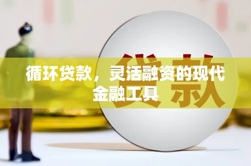 仙游循环贷款，灵活融资的现代金融工具