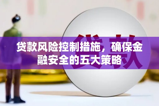 仙游贷款风险控制措施，确保金融安全的五大策略