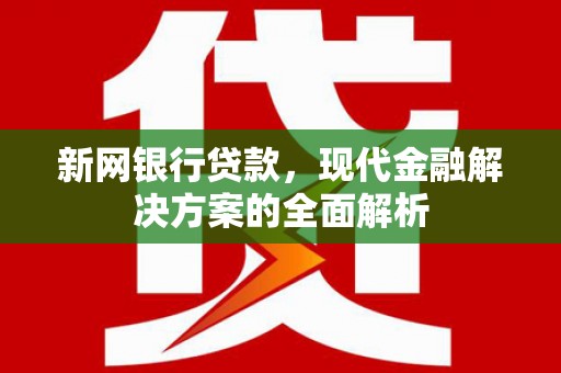 仙游新网银行贷款，现代金融解决方案的全面解析