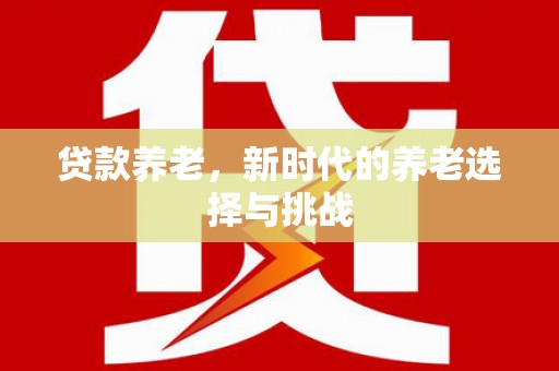 仙游贷款养老，新时代的养老选择与挑战
