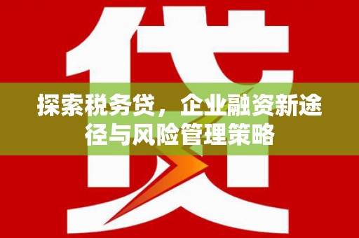 仙游探索税务贷，企业融资新途径与风险管理策略
